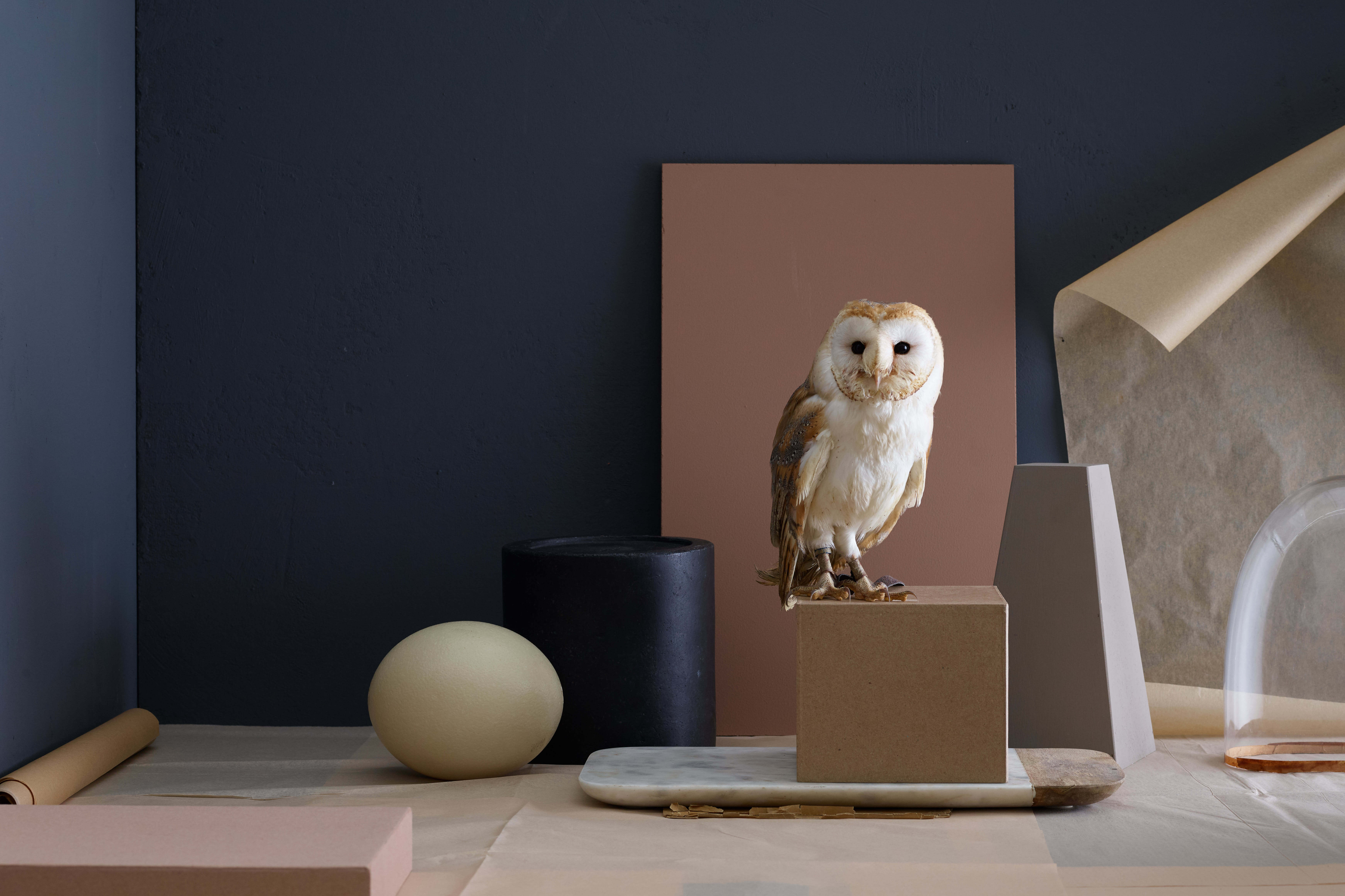 Plug: branding agency