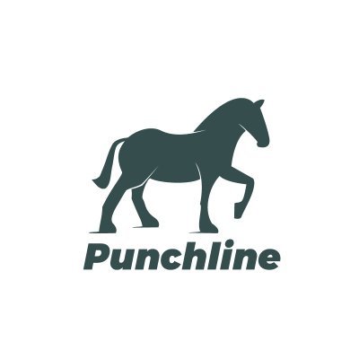 Punchline: social media agency