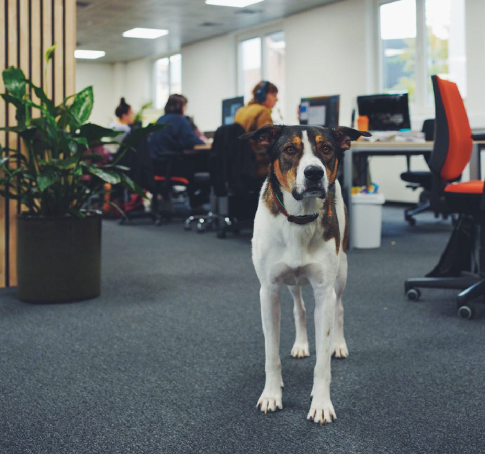Fight Club: brand & performance agency